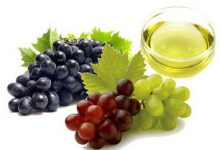 هر آنچه باید در رابطه با روغن هسته انگور بدانید!