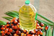 روغن پالم
