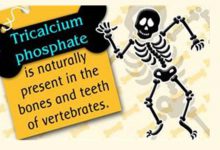 تری ‌کلسیم فسفات چیست ؟