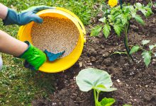 آشنایی با انواع کود و مزایا و معایب آنها