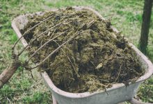 آشنایی با منافع استفاده از کود حیوانی