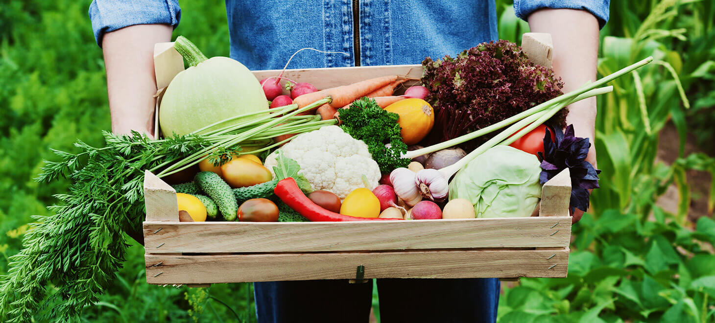 آیا غذاهای ارگانیک واقعا سالم تر هستند ؟