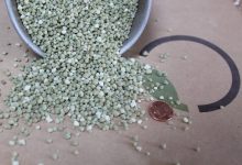 هر آنچه باید در رابطه با کود منو آمونیوم فسفات بدانید!