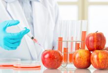 هر آنچه باید در مورد محصولات ترا ریخته و غیر ترا ریخته بدانید!