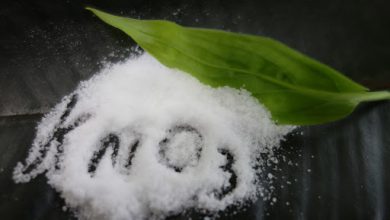 همه چیز در مورد فواید مصرف کود نیترات پتاسیم