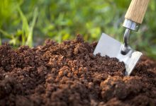 کمپوست چیست و چه مزایایی دارد؟