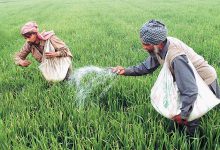 کود نیترات آمونیوم در چه مواردی کاربرد دارد؟