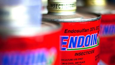 آشنایی با حشره کش ممنوعه اندوسولفان و عوارض آن