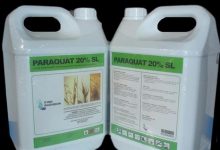 آشنایی با علف کش پاراکوات و خطرات آن برای انسان