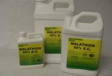 آشنایی با کاربردها و خطرات حشره کش مالاتیون