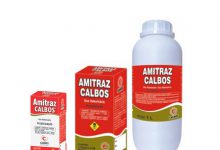 آمیتراز چیست و چگونه حشرات را از بین می برد؟