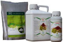 روغن سبزه یا روغن کشمش چیست و چه کاربردی دارد؟