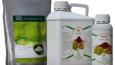 روغن سبزه یا روغن کشمش چیست و چه کاربردی دارد؟