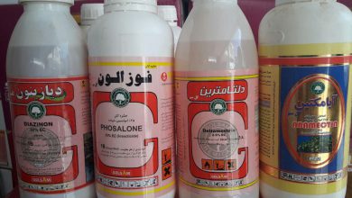 فوزالون چیست و چه کاربردی دارد؟