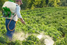 پرکاربردترین سموم کشاورزی کدامند؟