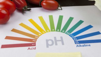 پی اچ (pH) چیست و چه نقشی در نگهداری مواد غذایی دارد؟