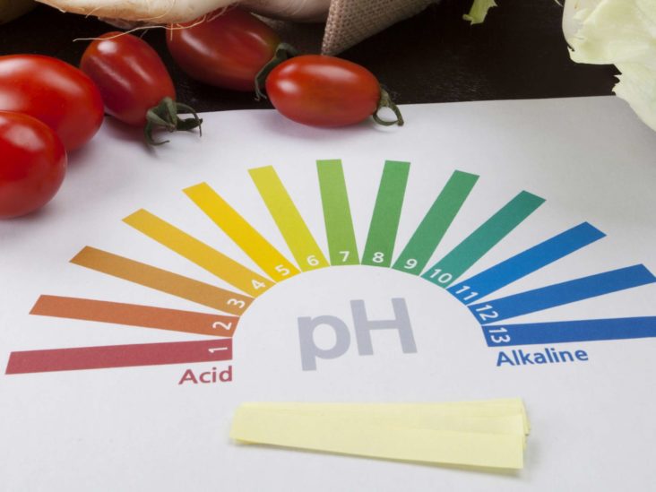پی اچ (pH) چیست و چه نقشی در نگهداری مواد غذایی دارد؟