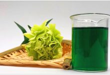 آشنایی با رنگ کلروفیلین و فواید بی نظیر آن