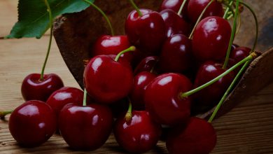 آشنایی با قیمت خرید و فروش اسانس آلبالو در ایران