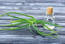 دانستنی های کاربرد و قیمت خرید و فروش اسانس آلوئه ورا