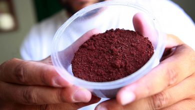 رنگ کارمین چیست و چه کاربردهایی دارد؟