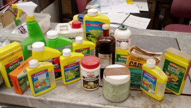 از محصولات شیمیایی خانگی سرطانزا چه می دانید؟