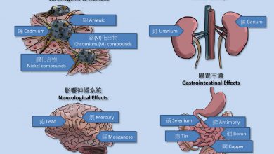 از تاثیر جیوه در بدن چه می دانید و چه اثرات مخربی دارد؟