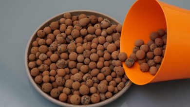 از خاک بالکلی و کاربردهای آن در صنایع بیشتر بدانید!