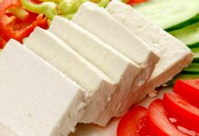 مایه پنیر چیست و از قیمت خرید و فروش مایه پنیر چه می دانید؟