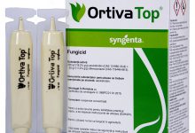 سم قارچ کش ارتیواتاپ چیست و از کاربرد آن چه می دانید؟