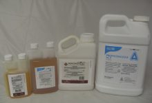 سم قارچ کش تیلت چیست و چه کاربردی دارد؟