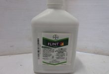 سم قارچ کش فلینت چیست و در چه مواردی استفاده می شود؟