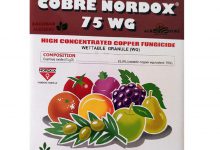 سم قارچ کش نوردوکس چیست و جه کاربردهایی دارد؟