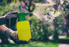 سم قارچ کش چیست و چه کاربردی دارد؟