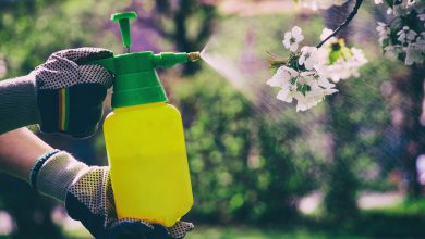 سم قارچ کش چیست و چه کاربردی دارد؟