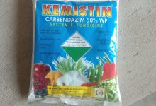 سم قارچ کش کاربندازیم چیست و از کاربردهای آن چه می دانید؟