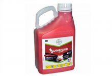 سم قارچ‌ کش لاماردور چیست و چه کاربردی دارد؟