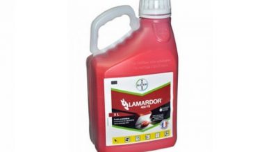 سم قارچ‌ کش لاماردور چیست و چه کاربردی دارد؟