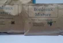 سم قارچ کش بردو چیست و چه مصارفی دارد؟