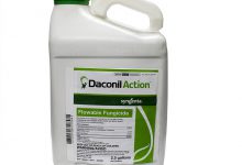 سم قارچ کش داکونیل (کلرتالونیل) چیست؟