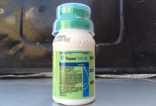 سم قارچ کش پنکونازول (توپاس) چیست و چگونه مصرف می شود؟