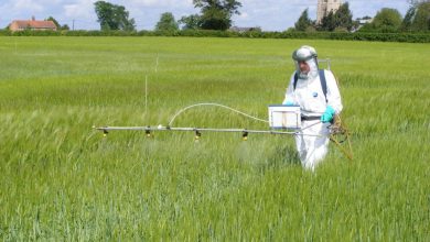 سم قارچ‌ كش اپوکسی کونازول چیست و چگونه مصرف می شود؟