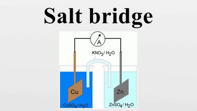 پل نمکی چیست و چه نقشی در الکتروشیمی دارد؟
