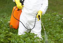 ویژگی و کاربردهای سم حشره کش کلرباریل (سوین)