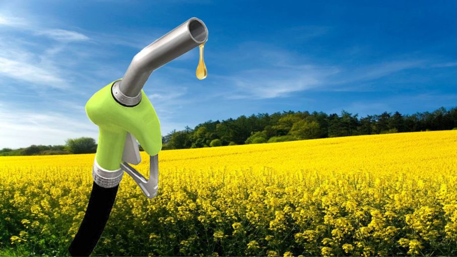 بیوانرژی چیست و کاربرد آن چه مزایایی دارد؟