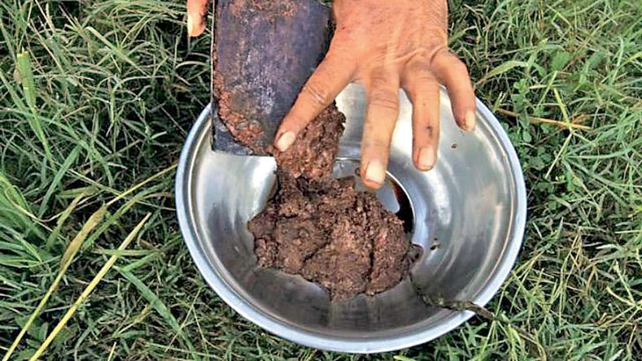 تریاک چیست و اعتیاد به آن چه عوارضی در پی دارد؟