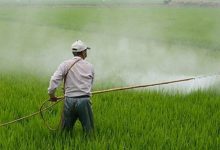 سم حشره کش استامی پرايد (موسپیلان) چیست؟