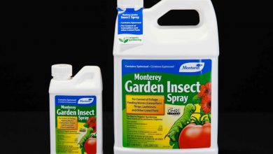 سم حشره کش اسپینوساد چیست و چگونه مصرف می شود؟