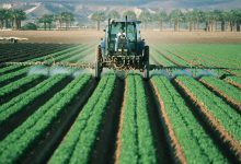 سم حشره کش فلوفنوکسورون (کاسکید) چیست؟