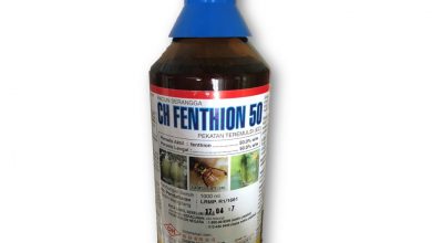 سم حشره کش فنتيون (لبايسيد) برای چه آفاتی استفاده می شود؟